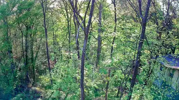 0 Walnut Street, LaFayette, GA 30728