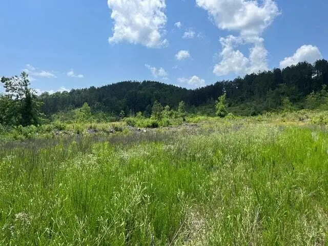 0 County Road #53, Athens, TN 37303 - #2