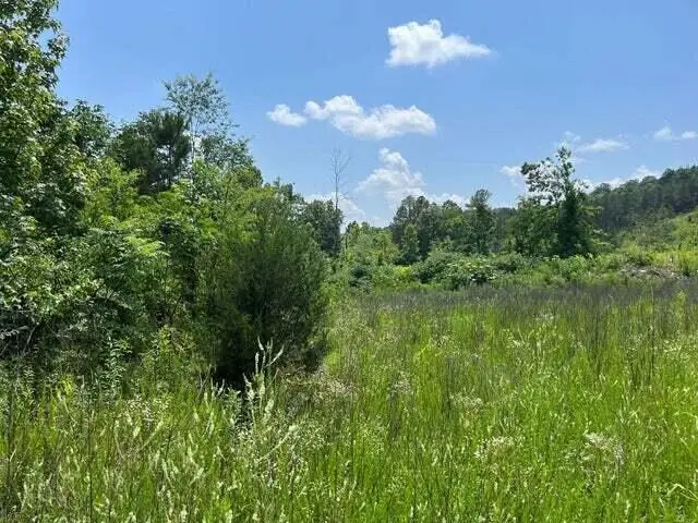 0 County Road #53, Athens, TN 37303 - #3