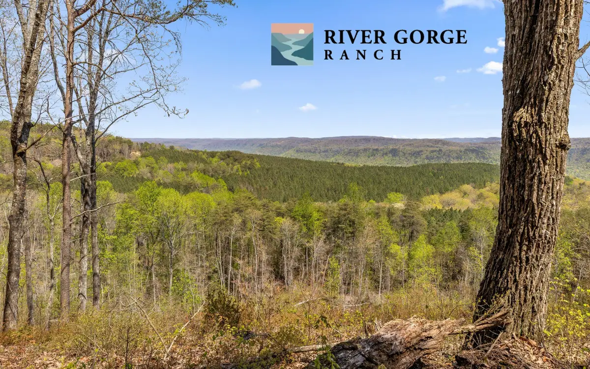Lot 2225 High Ground Road, Guild, TN 37340 - #1