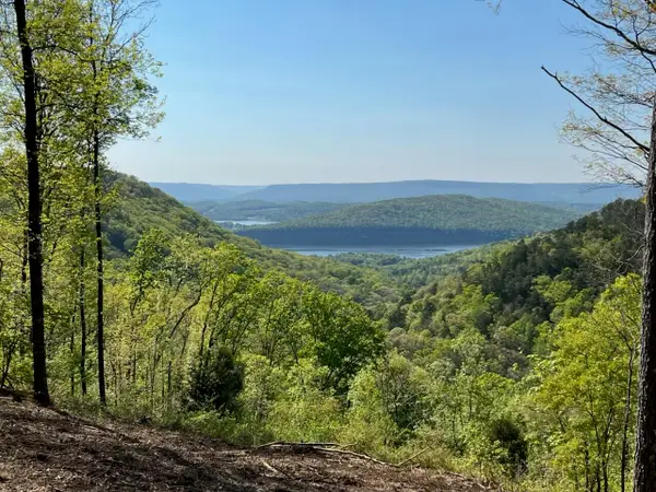 0 Birds Eye Way #1072, Guild, TN 37340