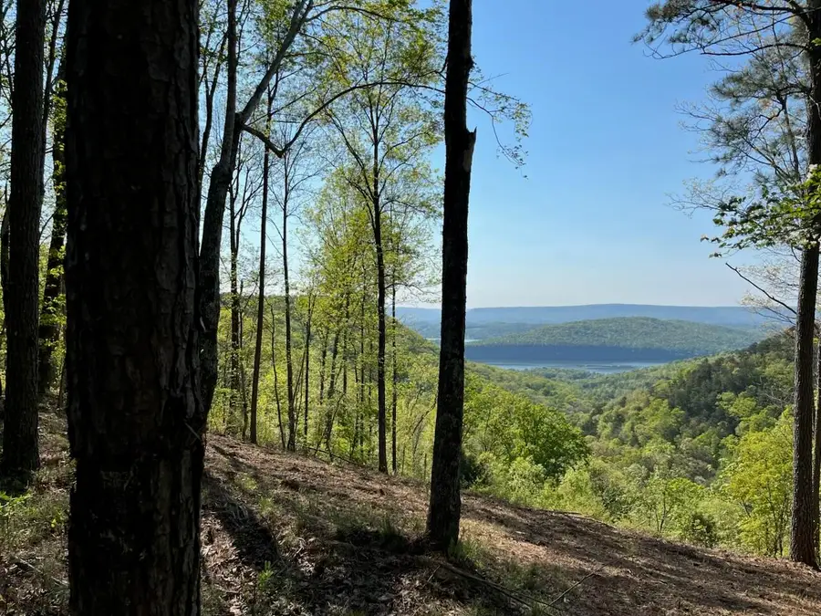 0 Birds Eye Way #1072, Guild, TN 37340 - #3