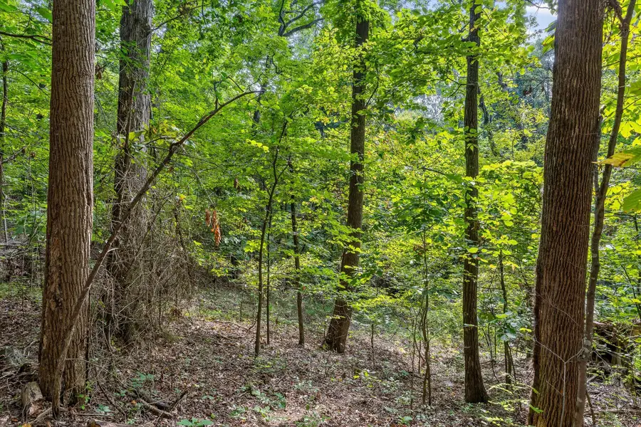 2255 Nickajack Road, Flintstone, GA 30725 - #2