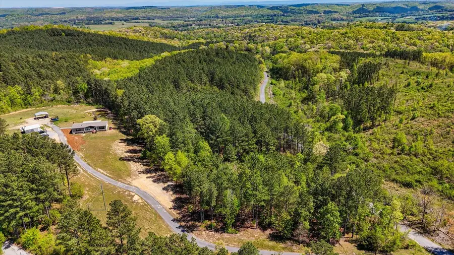 Lot 1 Rynes Road, Decatur, TN 37322 - #2