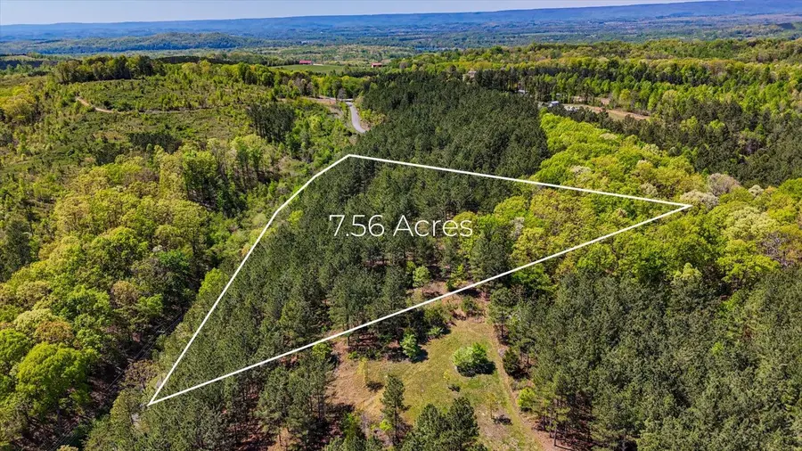 Lot 2 Rynes Road, Decatur, TN 37322 - #2