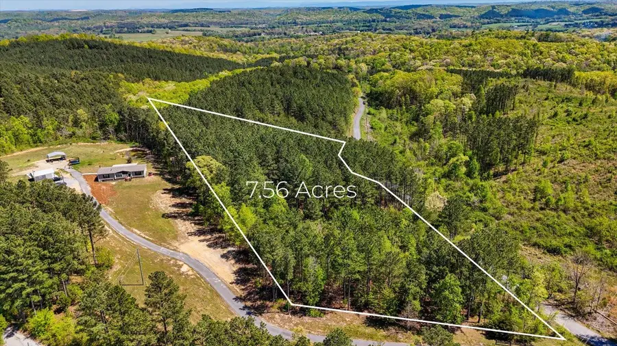 15.12 Acre Rynes Road, Decatur, TN 37322 - #3