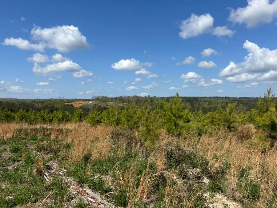 07 Fredonia Road, Dunlap, TN 37327 - #3