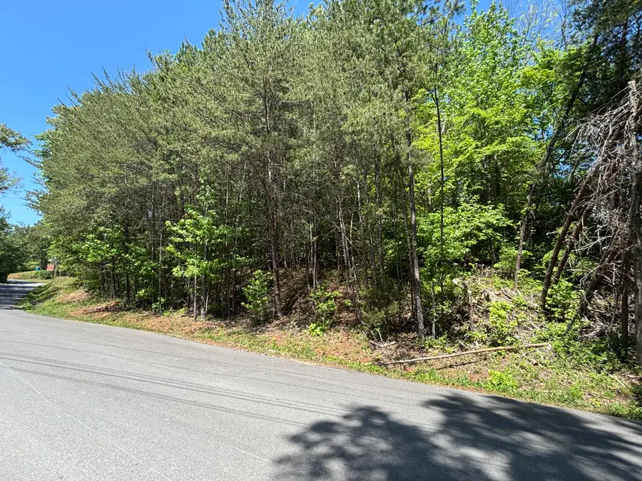 670 Lake View Drive, New Hope, TN 37380 - #3