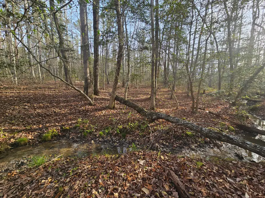 7 50th Avenue N, Gruetli Laager, TN 37339 - #3