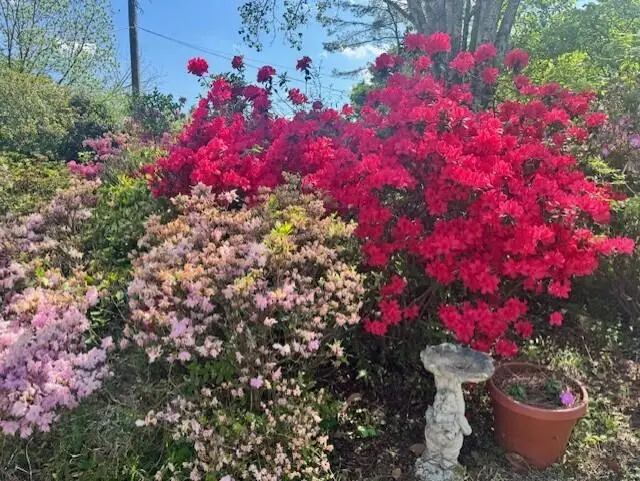 524 Cochran Road, Chatsworth, GA 30705 - #2