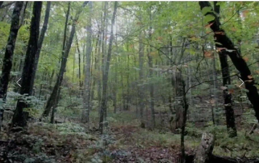 0 Ducks Nest Road #Lot 1, Turtletown, TN 37391 - #3