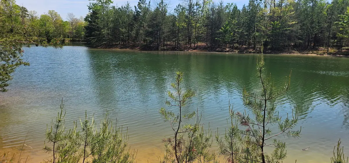 100 Bluff View Drive, Dunlap, TN 37327 - #1