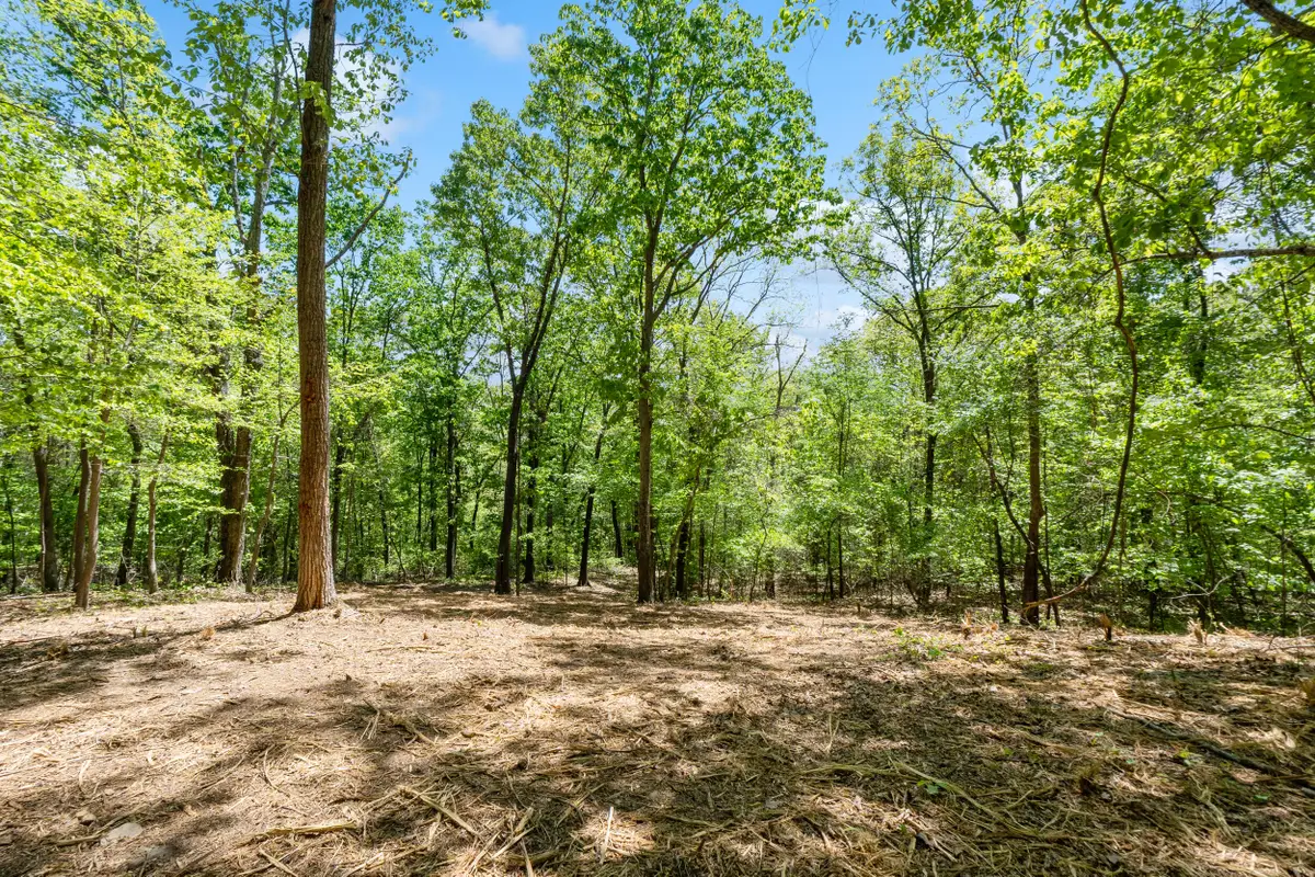 Lot 8 Mcdonald Road, McDonald, TN 37353 - #1