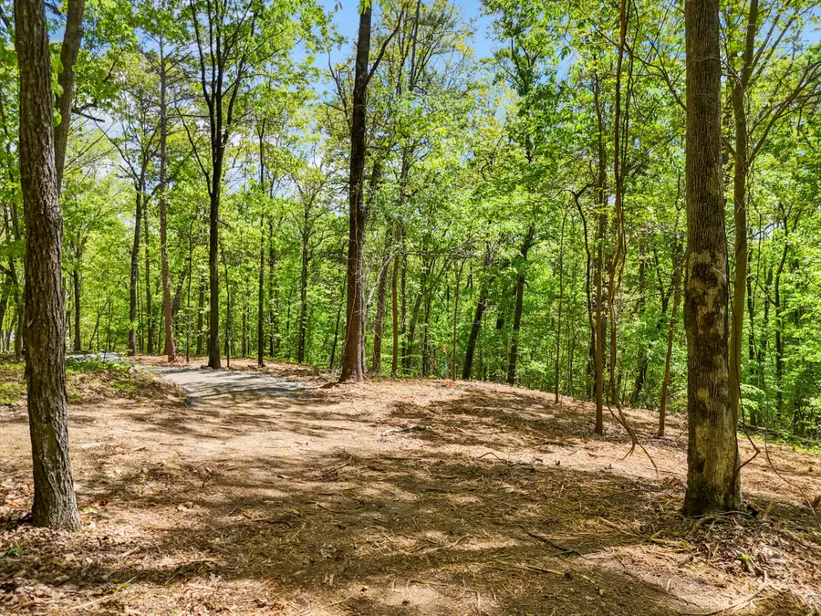 Lot 9 Mcdonald Road, McDonald, TN 37353 - #3