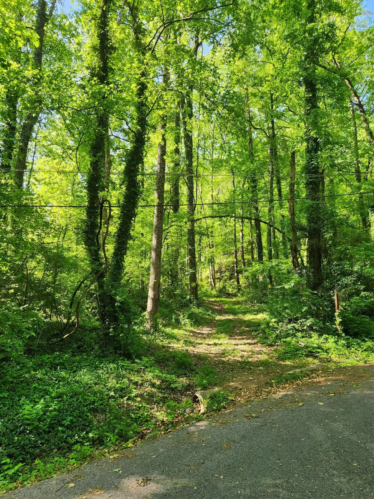 0 Gaylord Street, Red Bank, TN 37415 - #1