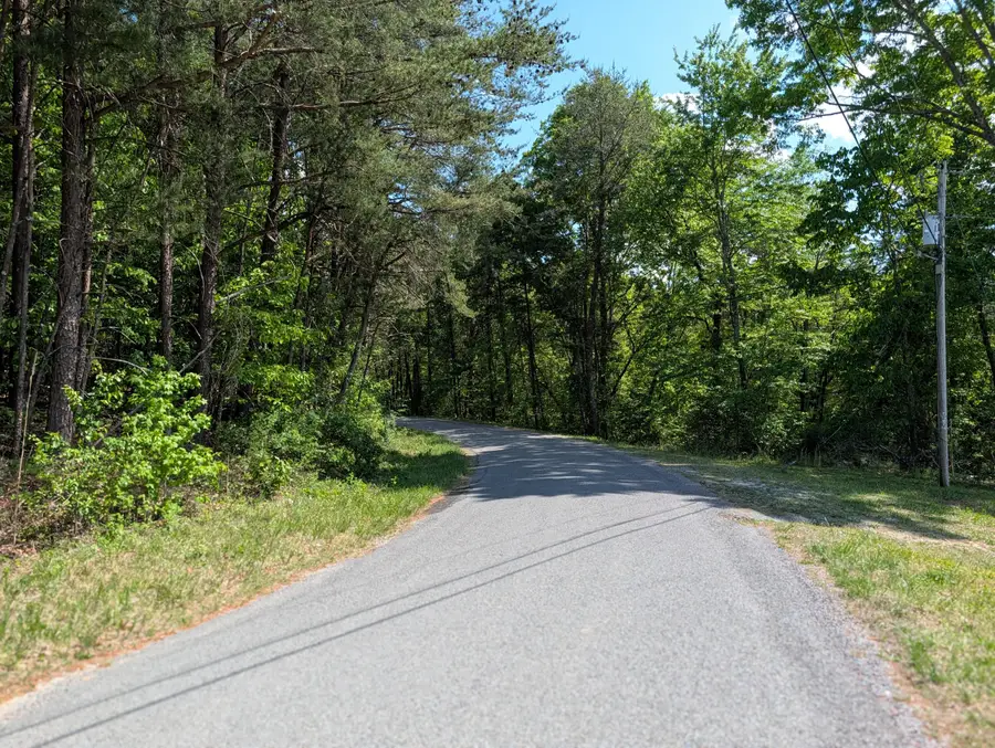 135 Garren Hart Lane, Spring City, TN 37381 - #2