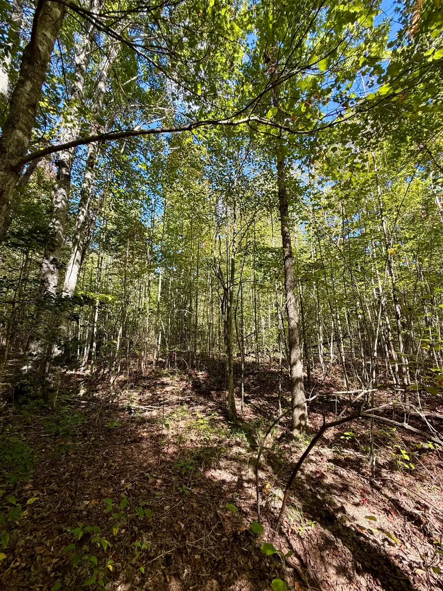 0 Owl Hollow Road #Lot 1, Palmer, TN 37365 - #2