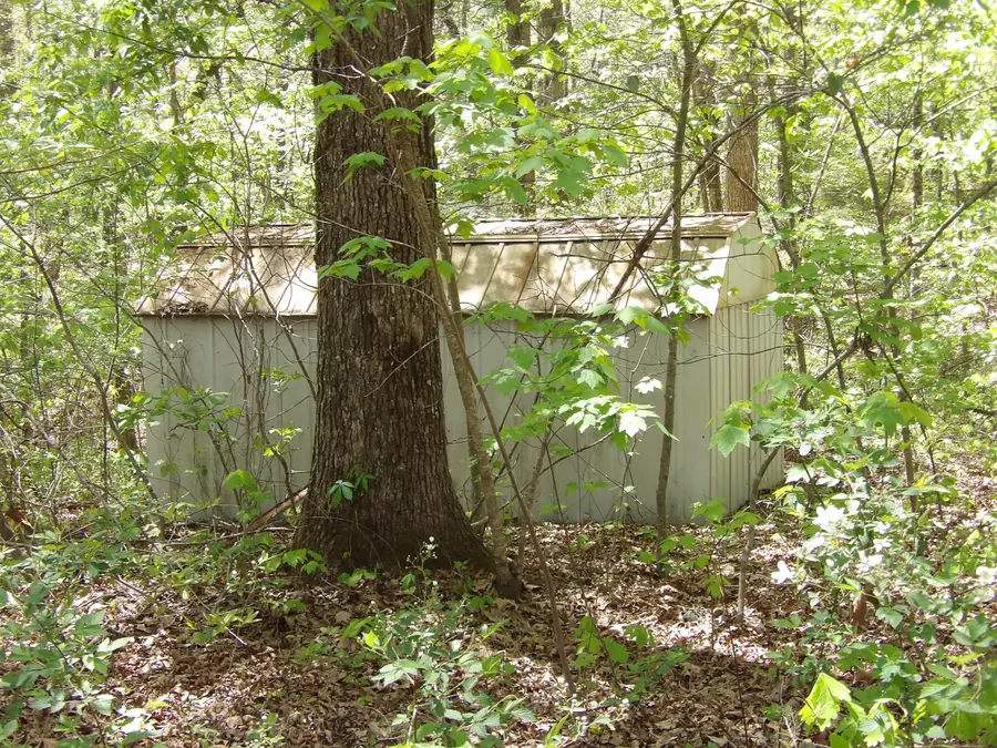 310 Dogwood Road, Pikeville, TN 37367 - #3