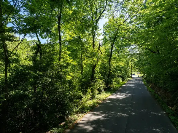 0 New York Avenue, Chattanooga, TN 37406