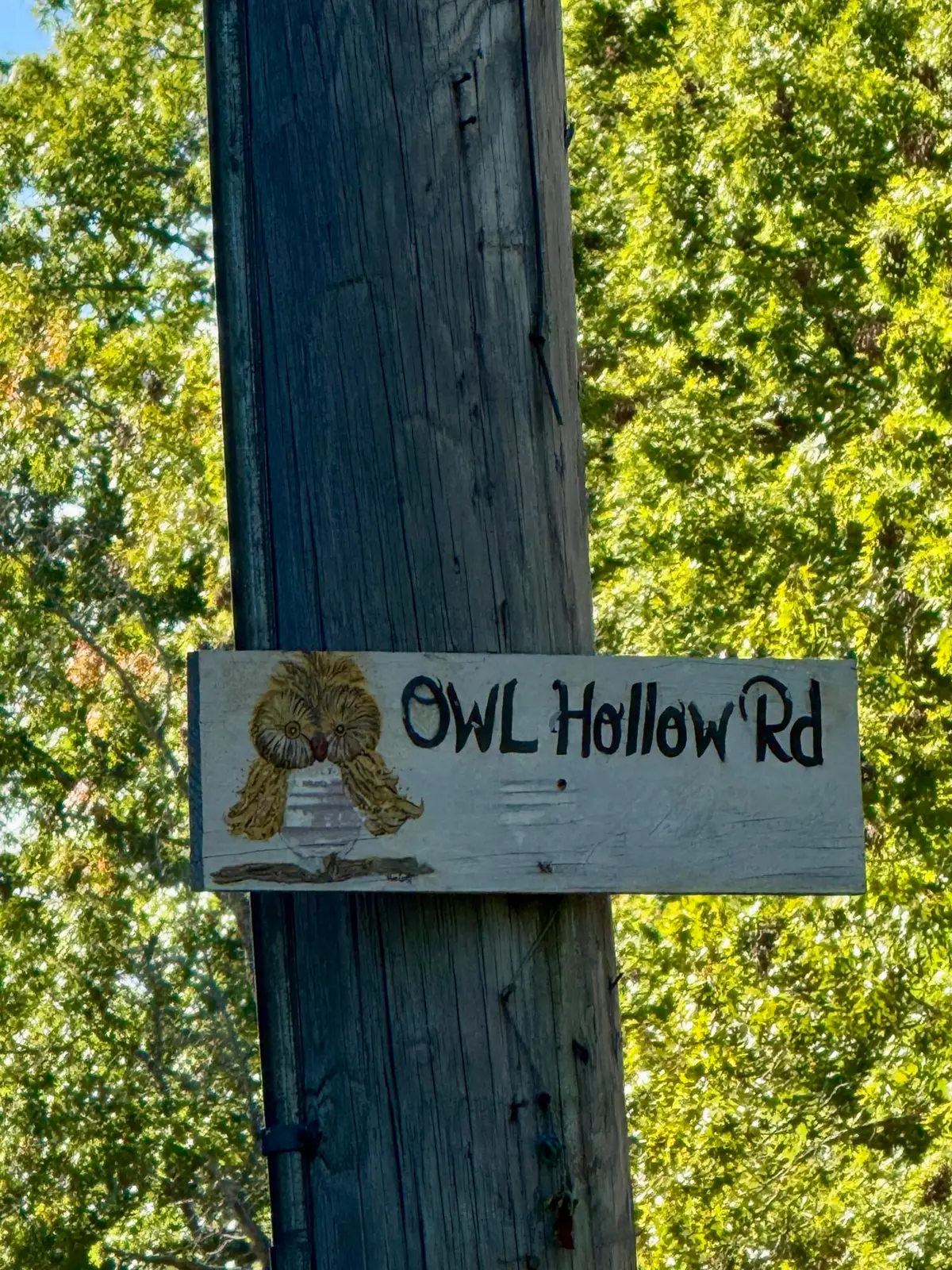000 Owl Hollow Road #Lot 8, Palmer, TN 37365 - #1
