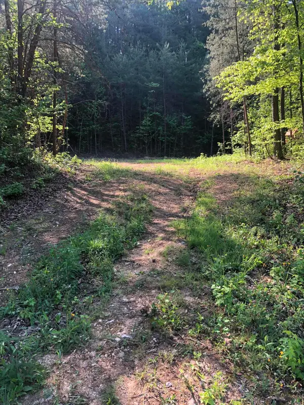 0 Chamberlain Road, LaFayette, GA 30728