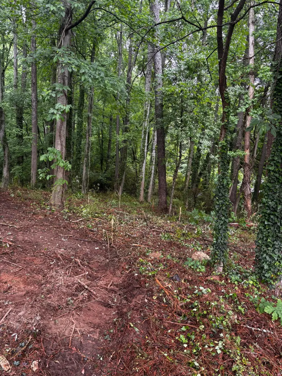 Lot 35 Ryman Ridge Road, Dalton, GA 30720 - #2