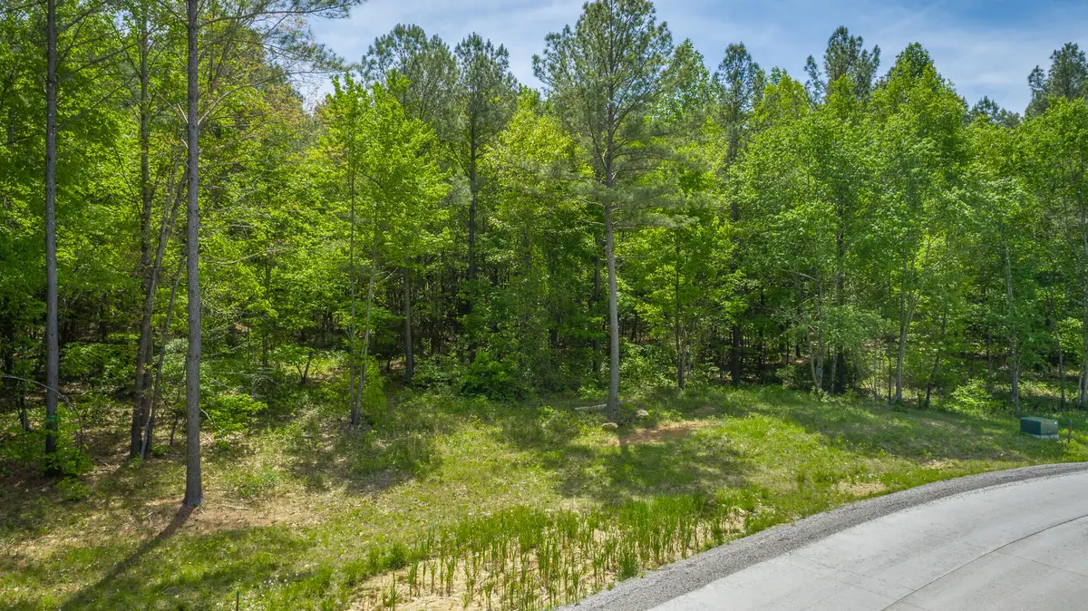 0 Birds Eye Way #Lot 1111, Guild, TN 37340 - #1