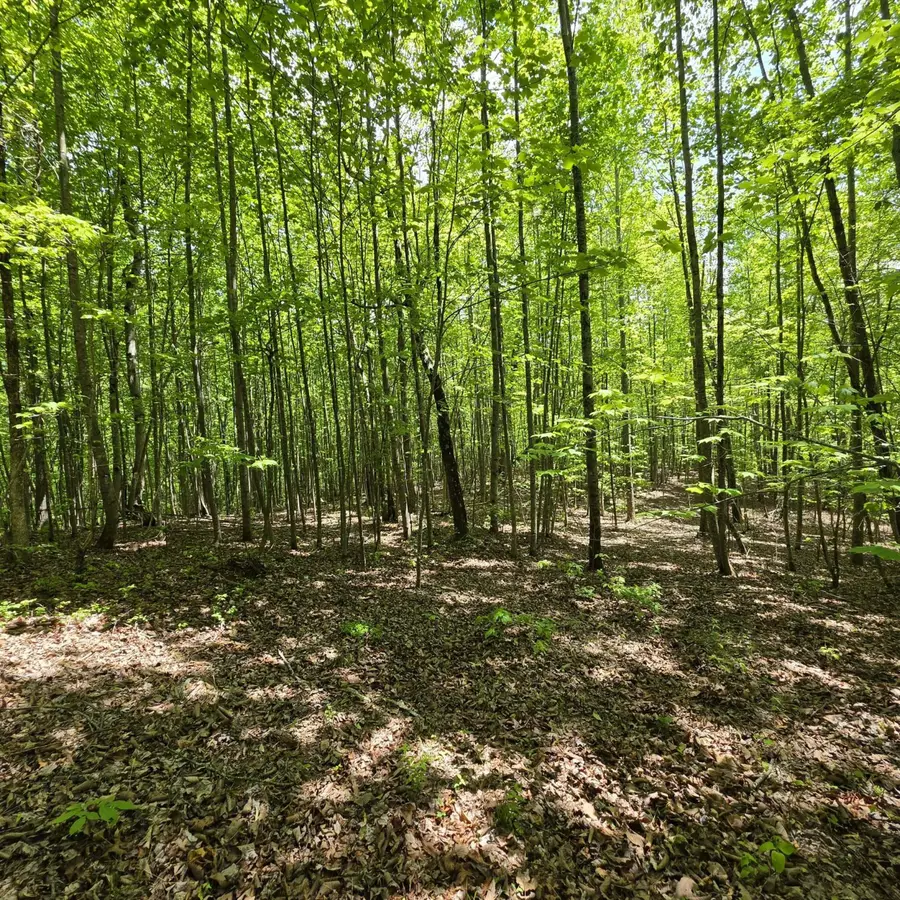 Lot 15b Cluck Cove Road, South Pittsburg, TN 37380 - #2