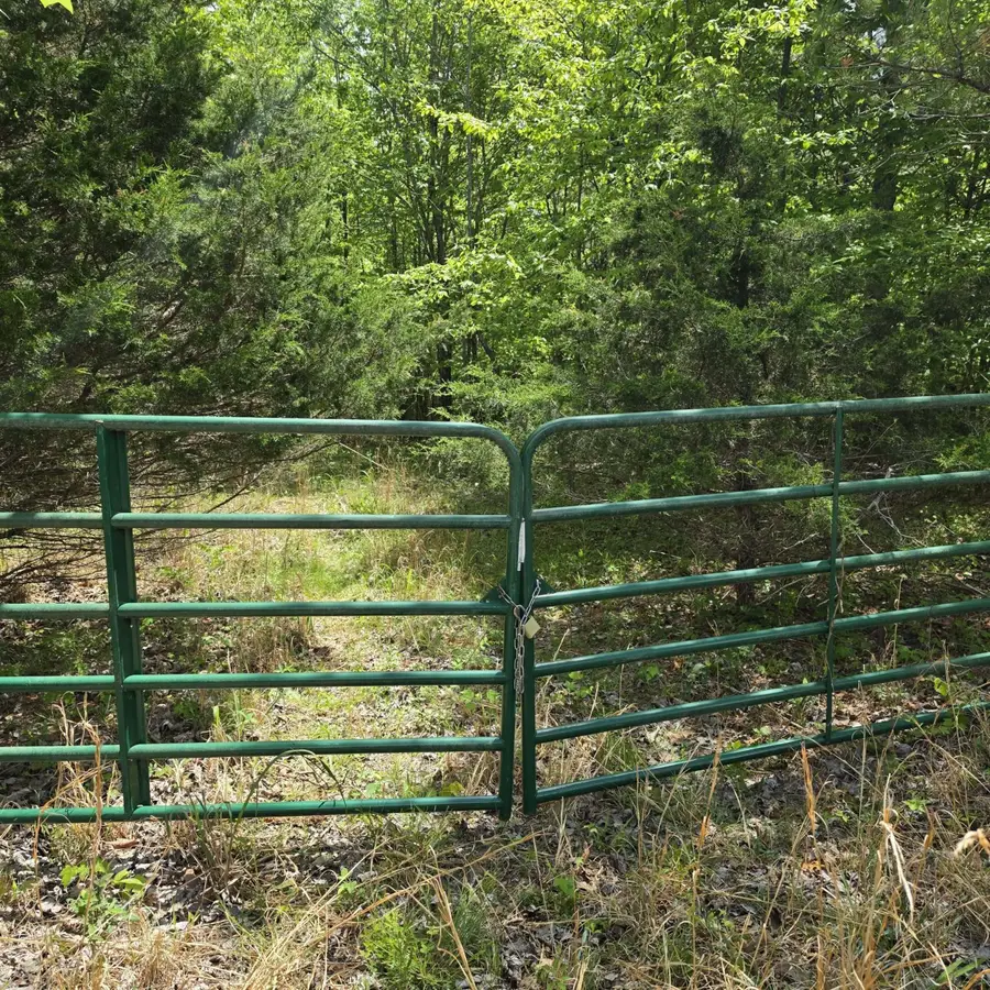 Lot 15b Cluck Cove Road, South Pittsburg, TN 37380 - #3