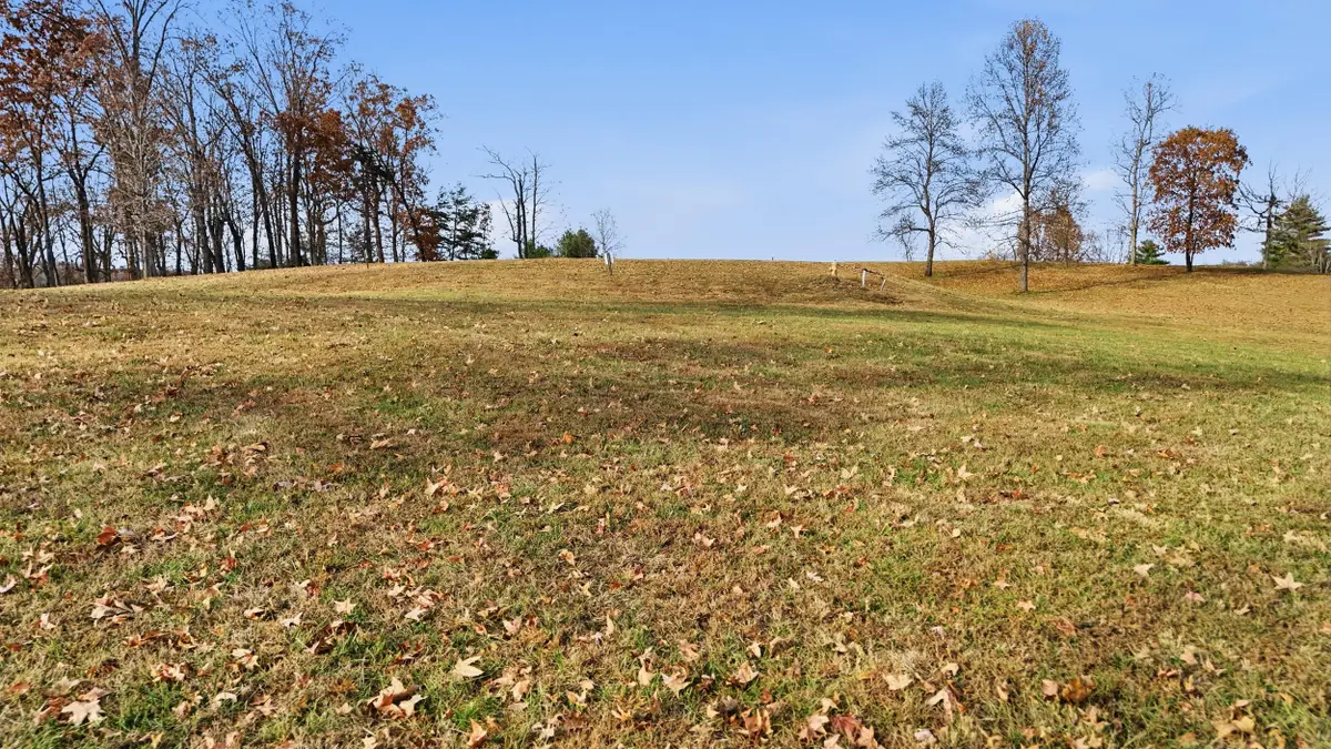 150 Quail Hollow Cove, Spring City, TN 37381 - #1