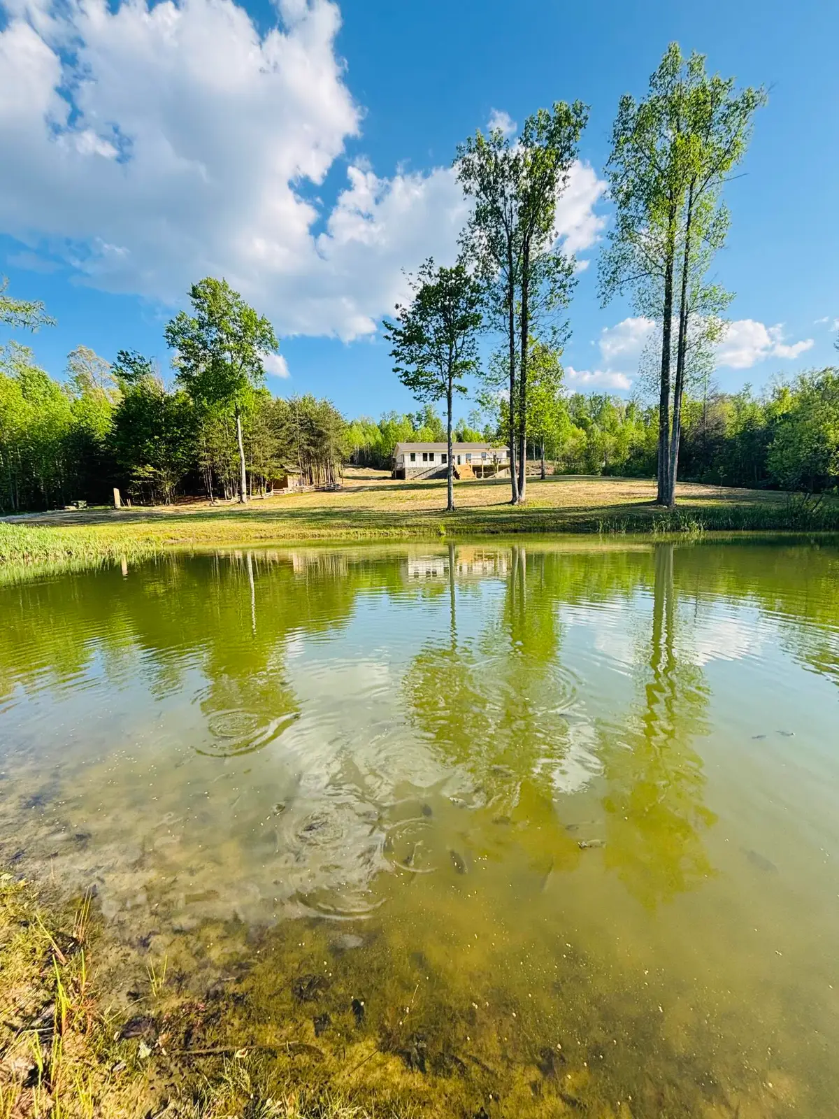 197 Echo Point Road, Dunlap, TN 37327 - #1