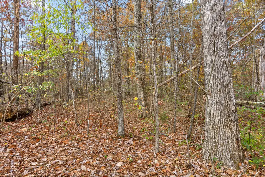 612 Miles Road, Signal Mountain, TN 37377 - #3