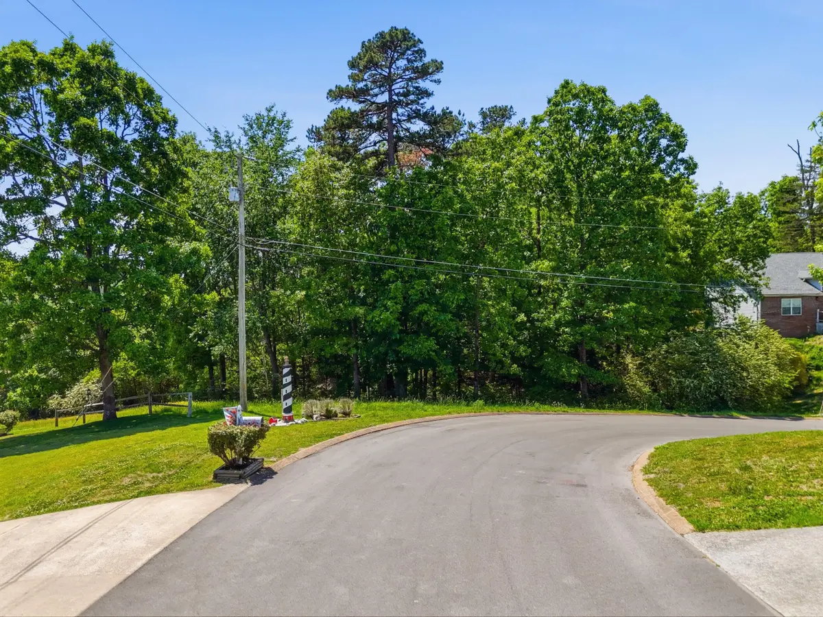 00 Cleo Circle, Ringgold, GA 30736 - #1