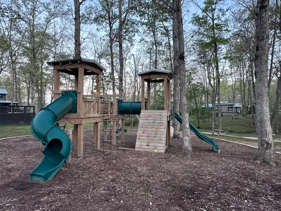 157 Dwellings Drive #Lot 187, Tracy City, TN 37387 - #2