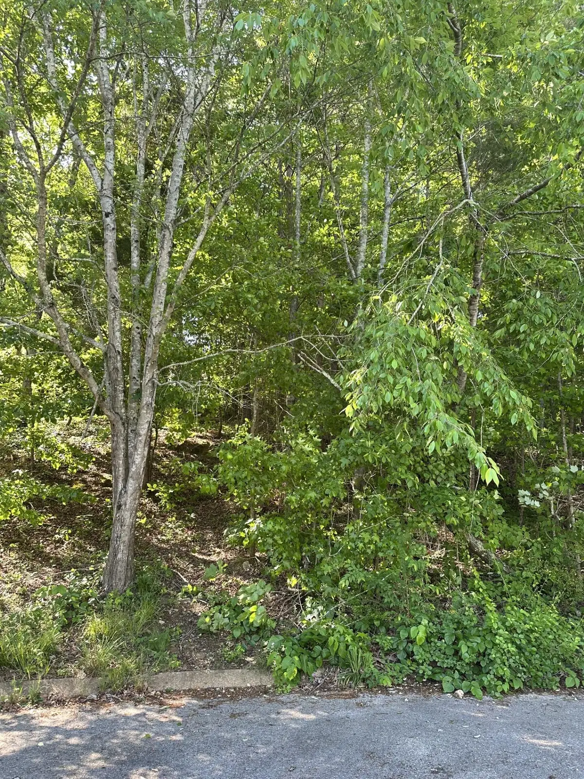 6900 Spinmaker Cove, Ooltewah, TN 37363 - #1