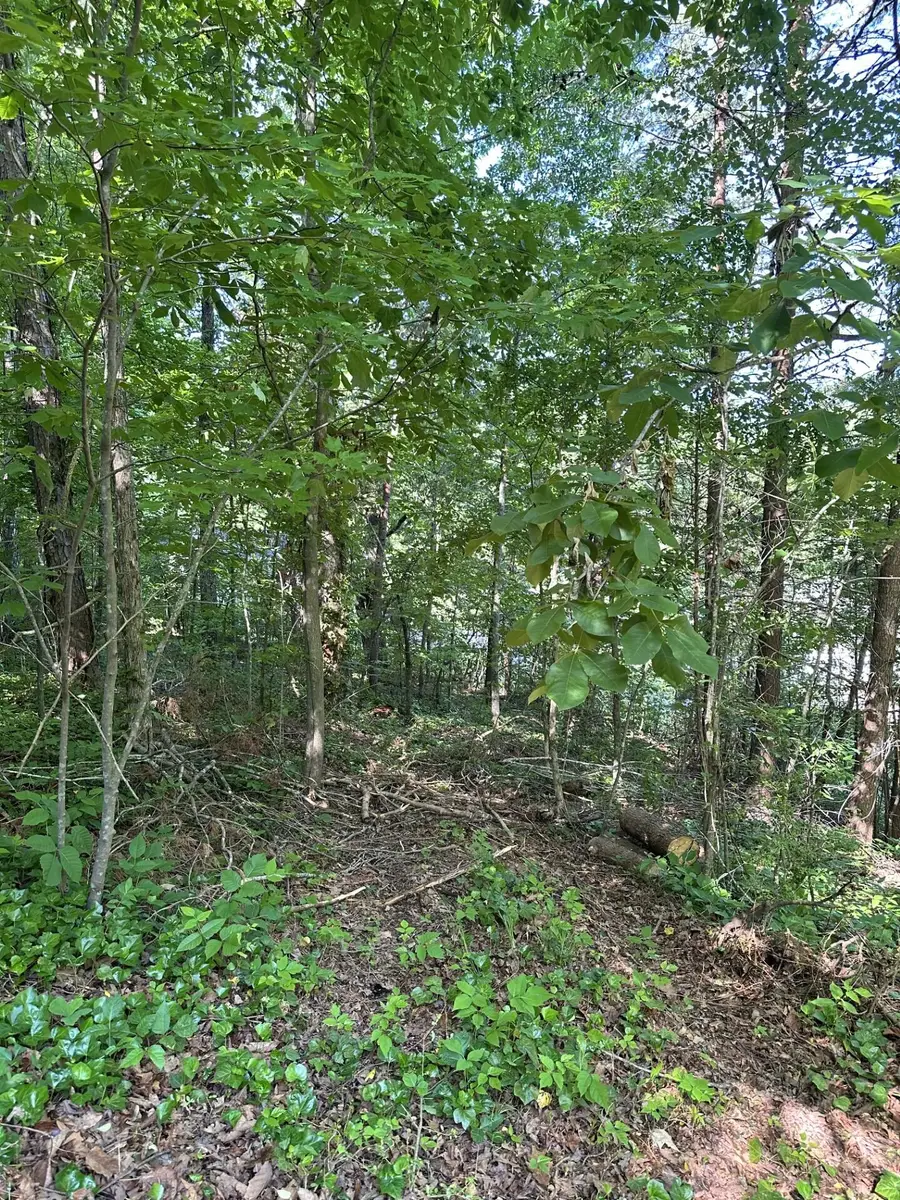 6900 Spinmaker Cove, Ooltewah, TN 37363 - #3