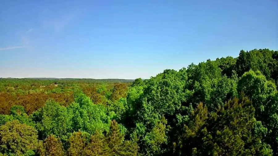 302 Timberland Trail, Ringgold, GA 30736 - #2