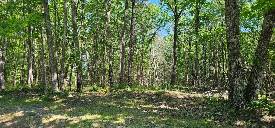 0 Bluffview Dr #558 &559, Dunlap, TN 37327 - #3