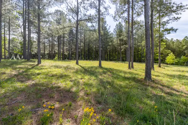 1600 Raulston Falls Road #Lot Sv320, Jasper, TN 37347