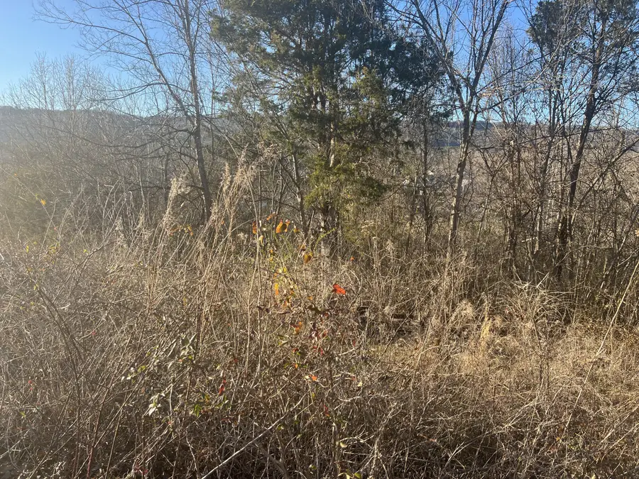 0 Cedar Breeze #4, Trenton, GA 30752 - #3