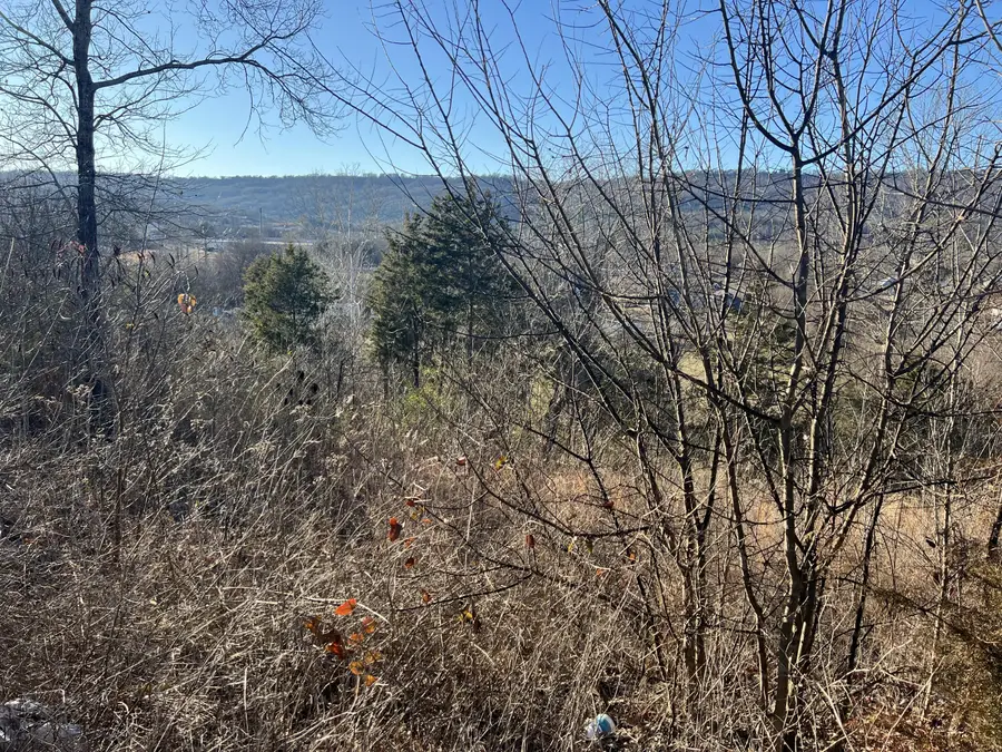 0 Cedar Breeze #3, Trenton, GA 30752 - #2