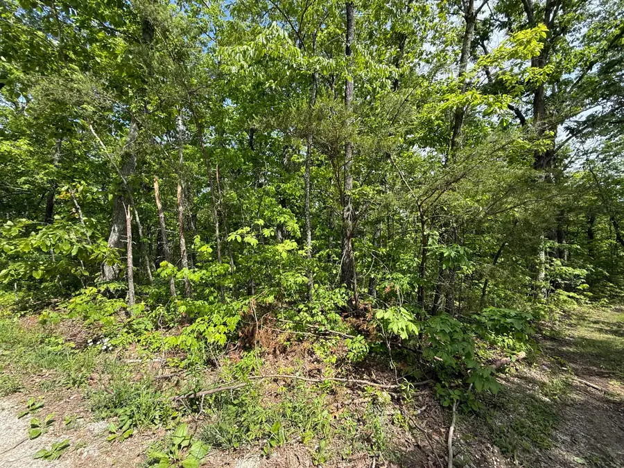 01 Crosswinds Boulevard, Crossville, TN 38572 - #3