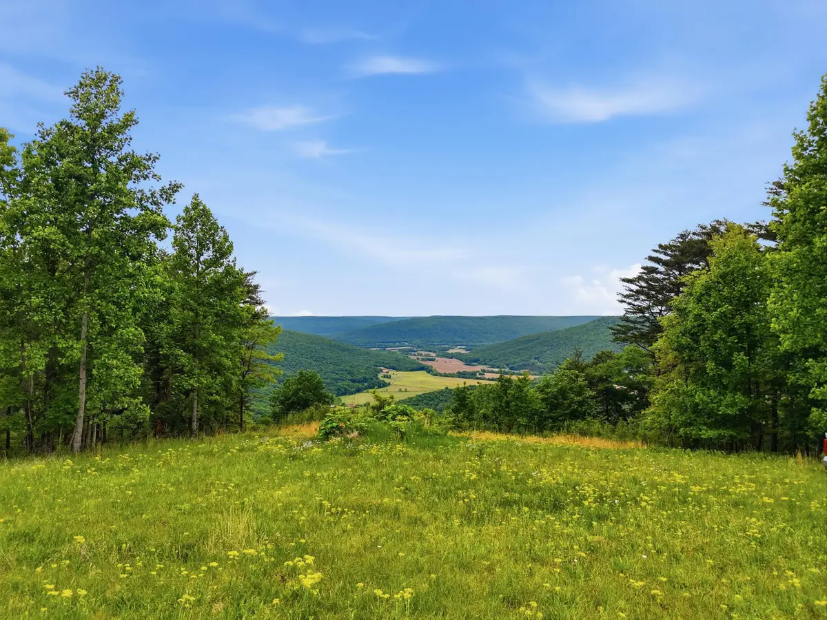 2750 B Browns Trace Road, South Pittsburg, TN 37380 - #1