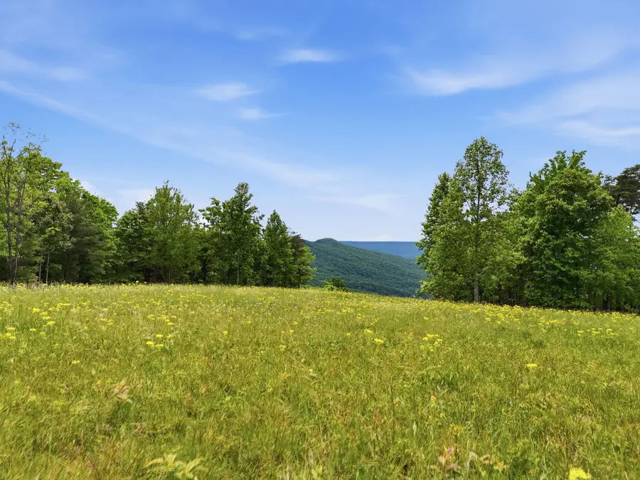 2750 B Browns Trace Road, South Pittsburg, TN 37380 - #3