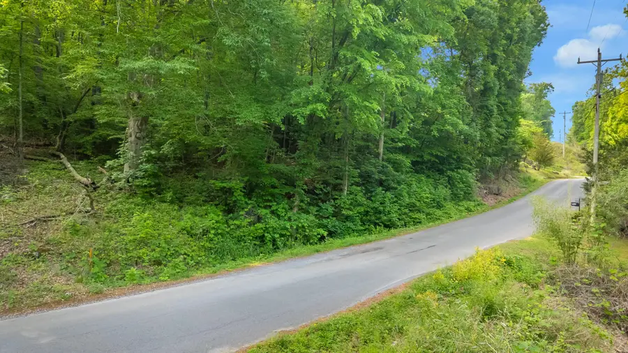 0 Mullins Cove Road, Whitwell, TN 37397 - #2