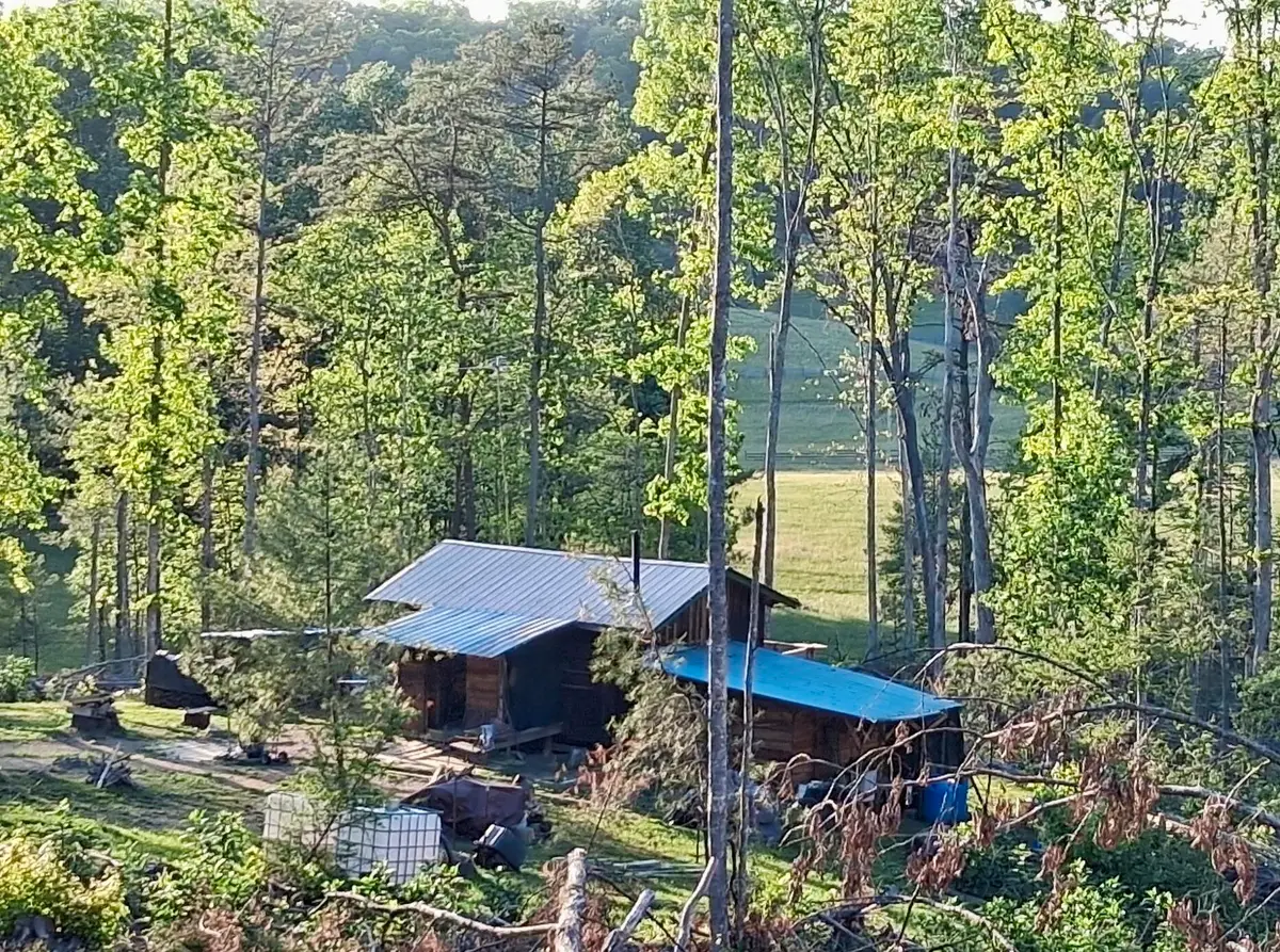 233 Finger Board Road, Tellico Plains, TN 37385 - #1