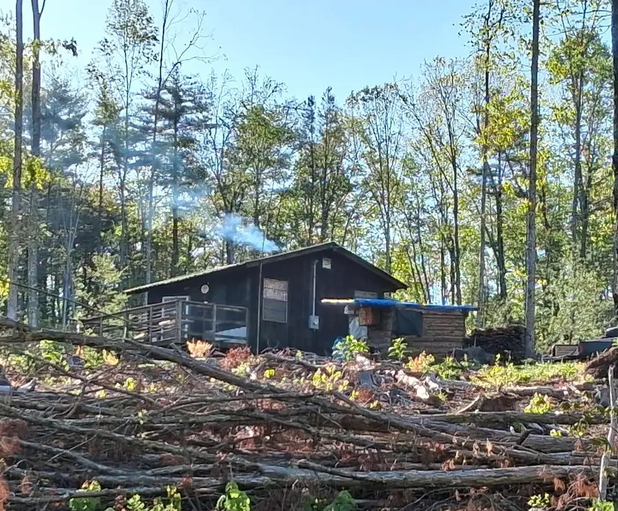 233 Finger Board Road, Tellico Plains, TN 37385 - #2