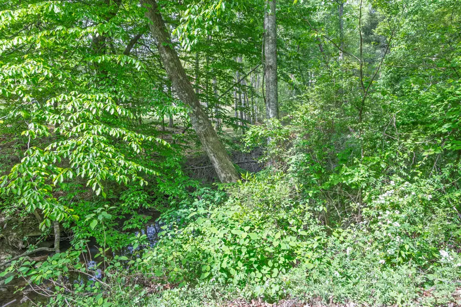 000 Summers Home Lane, Dayton, TN 37321 - #2