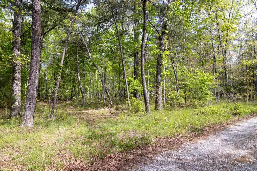 000 Summers Home Lane, Dayton, TN 37321 - #3