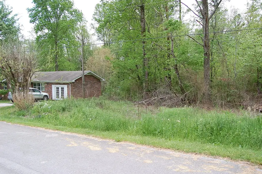 66 51st Avenue, Gruetli Laager, TN 37339 - #2